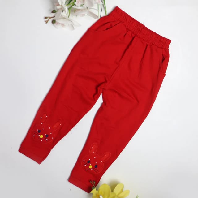 cute-embroidery-trouser-for-girls