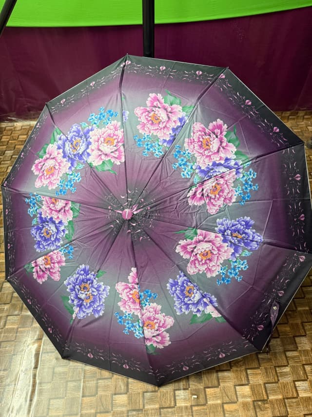 elegant-floral-10-ribs-folding-umbrella