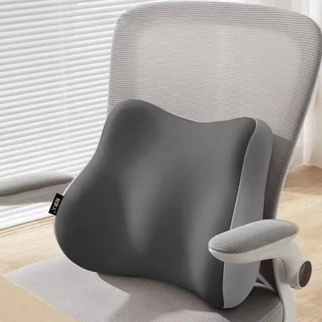 lumbar-support-seat-cushion
