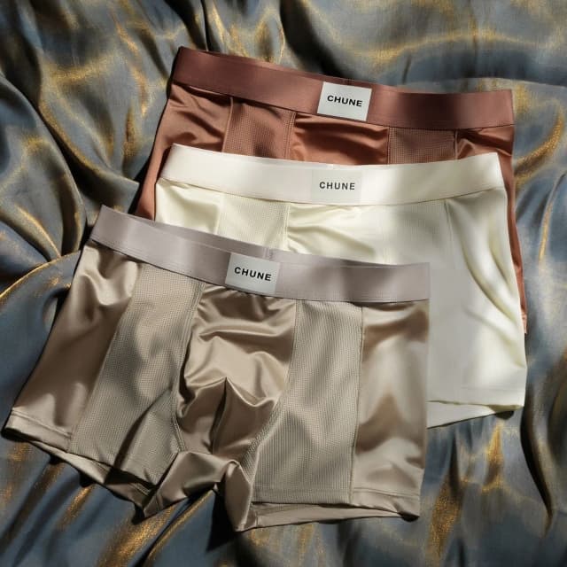 luxury-mesh-satin-ice-silk-underwear-set-of-04-