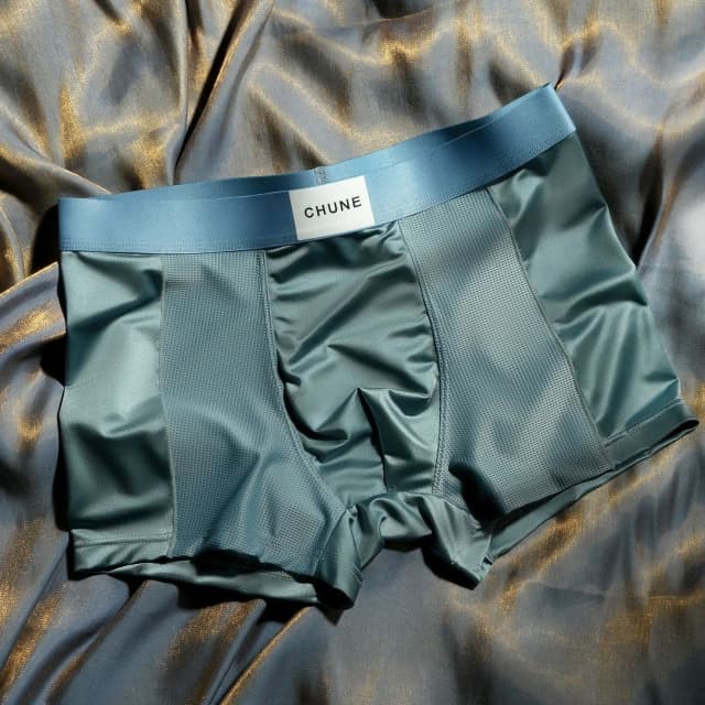 luxury-mesh-satin-ice-silk-underwear-set-of-04-
