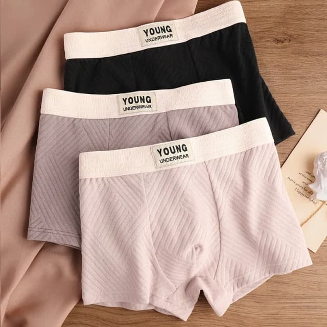 pure-cotton-textured-mid-waist-underwear-set-of-04
