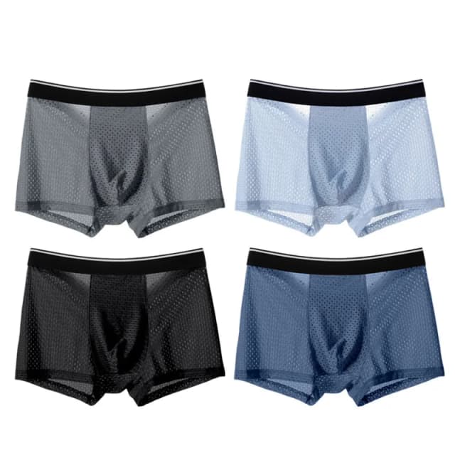 mens-ice-silk-mesh-transparent-comfortable-underwear-set-of-4